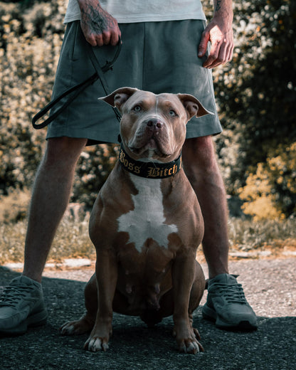 Boss B**** Kollektion